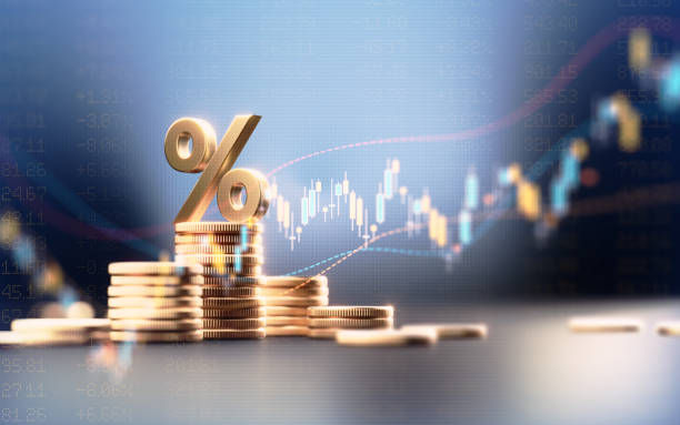 新西兰公司年度报告要求与财务审核指南！